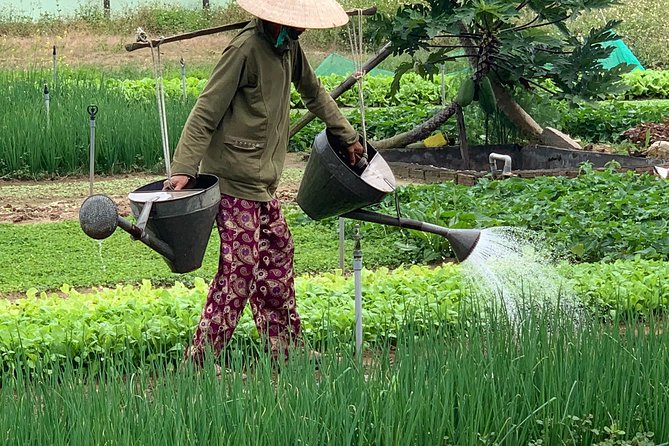 Full Experience Tour: Cooking Class & Basket Boat at Eco-Village - Why this Hoi An day feels different