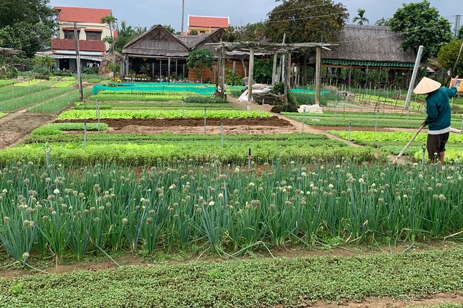 Full Experience Tour: Cooking Class & Basket Boat at Eco-Village - Making rice paper by hand