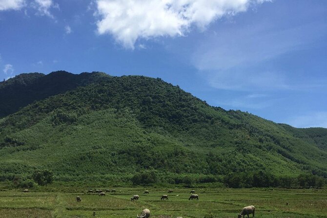 HAI VAN PASS MOTORBIKE TOUR - Top Gear Experience - Suoi Mo Waterfall, the day’s swimming break