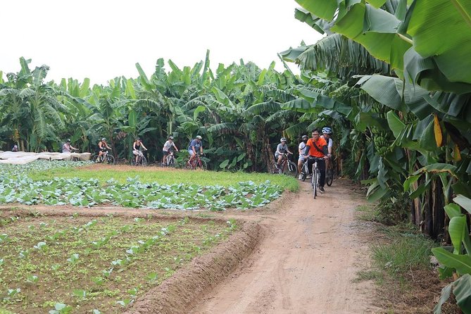 Half-Day Bicycle Tour Combine City & Countryside + Train Street - Why this ride gives you more than a standard city tour