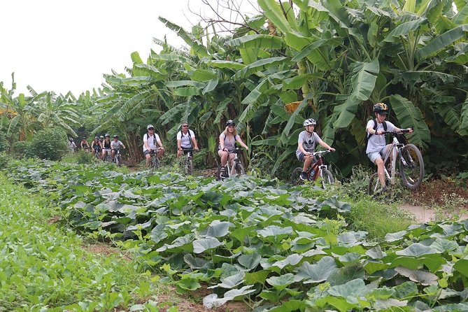 Half-Day Bicycle Tour Combine City & Countryside + Train Street - Along West Lake and Thanh Nien Road