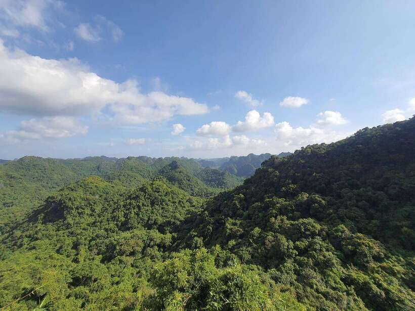 Half Day Hiking to Cat Ba National Park with a Guide - Key points at a glance