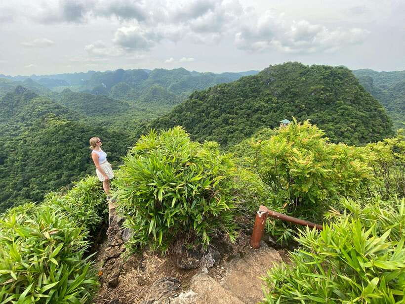 Half Day Hiking to Cat Ba National Park with a Guide - A half-day that shows Cat Ba beyond the bay