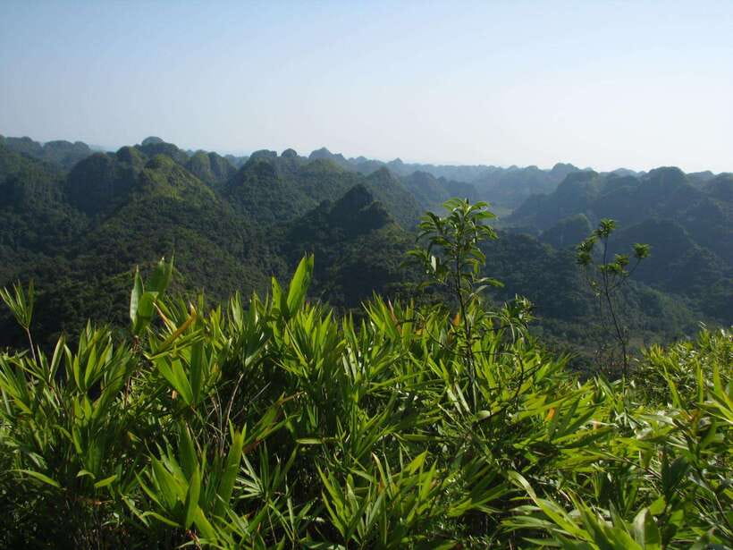 Half Day Hiking to Cat Ba National Park with a Guide - The climb to Ngu Lam Peak