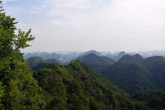 Half Day Hiking to Discover Cat Ba National Park with a Guide - From wartime hospital to jungle summit