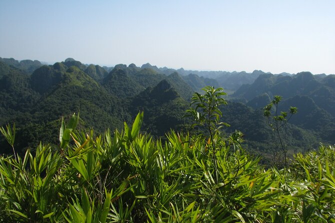 Half Day Hiking to Discover Cat Ba National Park with a Guide - The cool passage through Trung Trang Cave
