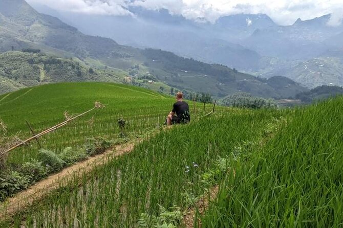 Half-Day Hometrek from Sapa with Hmong Sister House - Who should book this Sapa experience?