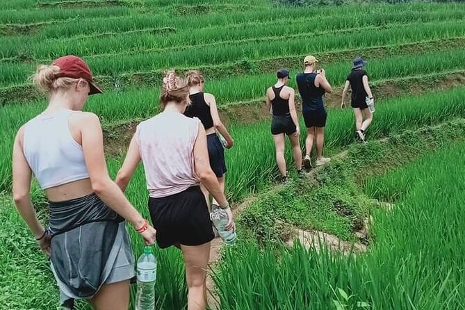 Half-Day Hometrek from Sapa with Hmong Sister House - Rice terraces and the Lao Chai section