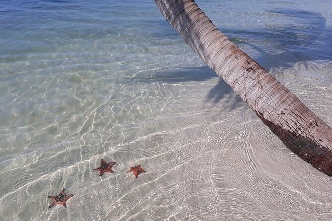 Half-day Motorbike Tour in Phu Quoc Island - Stop 4: Starfish Beach from December to May