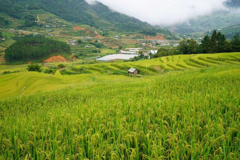 Half Day Sapa Trekking to Visit Lao Chai - Ta Van - Ta Van and the Dzay village finish