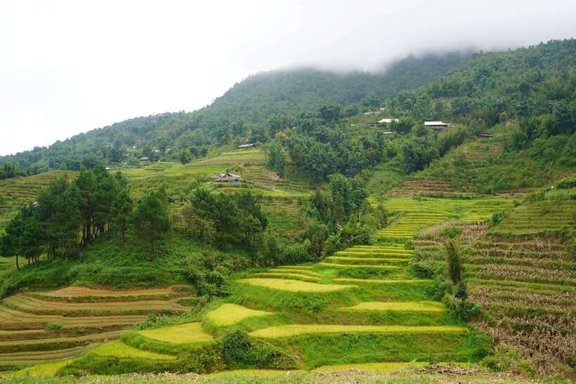 Half Day Sapa Trekking to Visit Lao Chai - Ta Van - What the $22 price really buys you