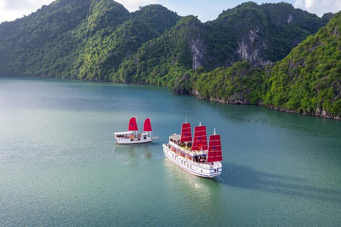 Halong Amazing Sail Luxury 1 Day Small Group Tour 7-Hour Cruising - Sung Sot Cave and Its Karst Interior