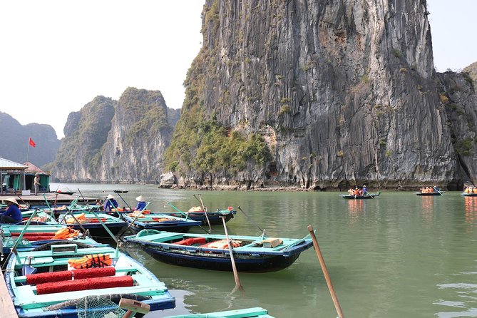 Halong Bay Day Tour Islands, Cave, Kayak. Lunch. All inclusive - Guide quality and the group experience
