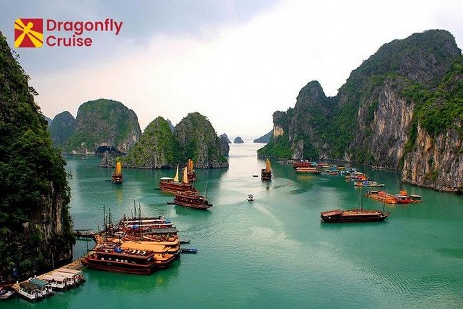 Halong Islands, Cave, Kayak, Bamboo Day Tour w Dragonfly Cruise - Seafood lunch and meal planning
