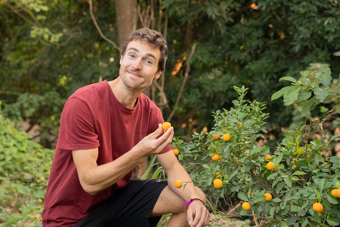 Hanoi Cooking Class in a Haven of Tranquility - Thom culinary - Why this Hanoi cooking class feels different