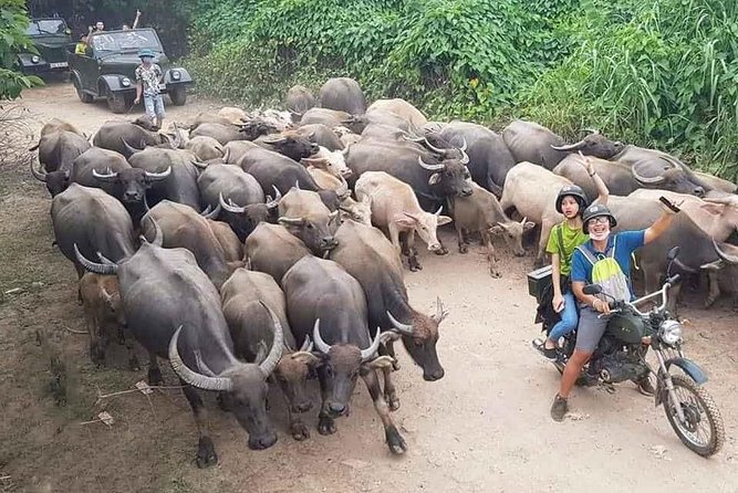 Hanoi Countryside Motorbike Tour: Red River Culture & Daily Life - Key points before you book