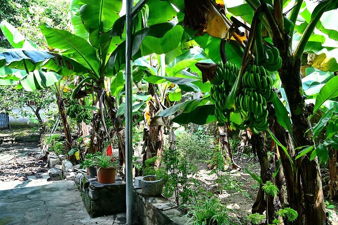 Hanoi Full Day A Private Tour With Mix of History and Activities - Vietnam Museum of Ethnology and the 54 groups