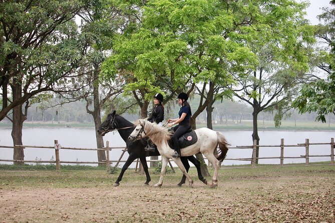 Hanoi Horseback Riding Club & Tours - Exclusive Experience - A quiet horse outing inside Hanoi