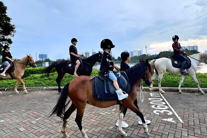Hanoi Horseback Riding Club & Tours - Exclusive Experience - A short break after the ride, with go-karts as an option