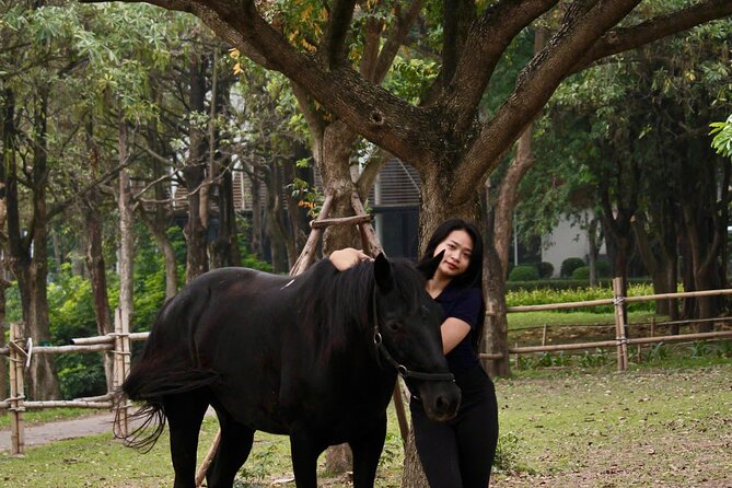 Hanoi Horseback Riding Club & Tours - Exclusive Experience - Feeding horses and painting a keepsake