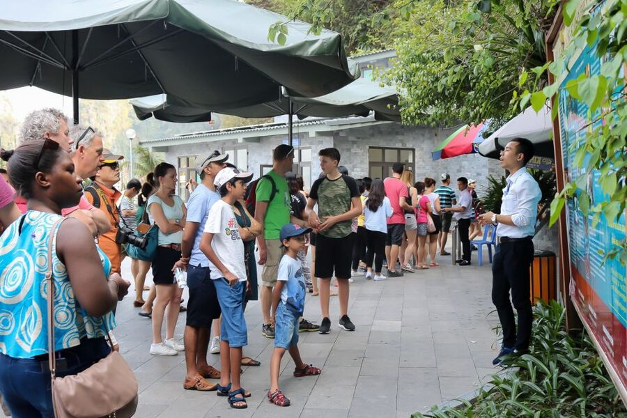Hanoi: Islands & Caves Ha Long Cruise with Lunch & Kayaking - Thien Cung Cave and its large decorated chambers