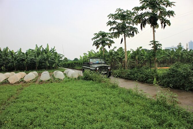 Hanoi Jeep Tours Led By Women: Hanoi Countryside By Legend Jeep - Vietnamese lunch and egg coffee in Hanoi