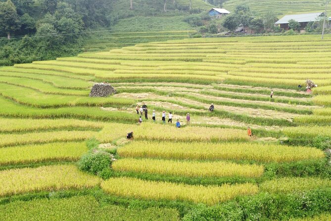Hanoi - Sapa 3 Days - 2 Nights Trekking with With the locals - Key points to know before booking