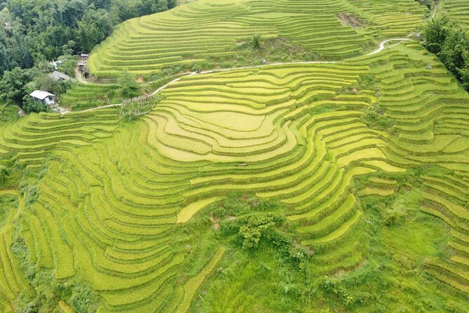 Hanoi - Sapa 3 Days - 2 Nights Trekking with With the locals - Cat Cat Village gives you a first taste of Sapa