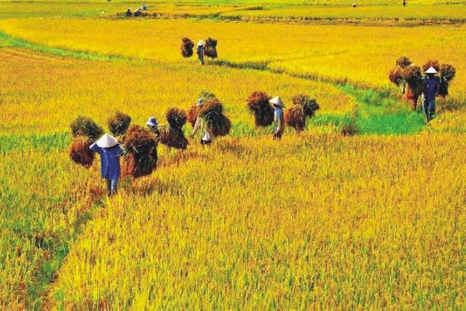 Hanoi Vespa Countryside Tour With Female Ao Dai Riders Half Day - What the $58 price really covers