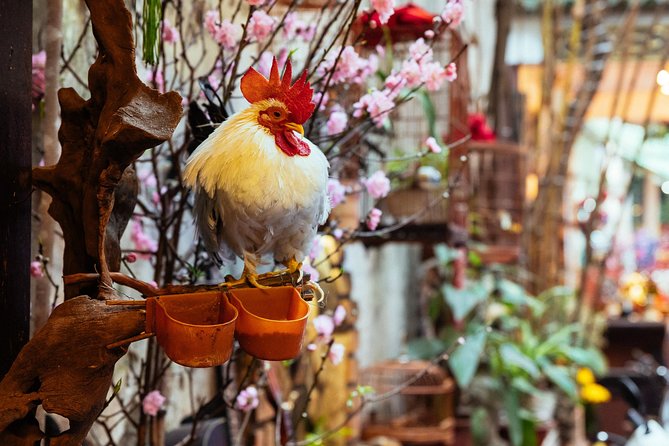 Highlights & Hidden Gems With Locals: Best of Hanoi Private Tour - Bach Ma Temple and Hang Bac Temple: two very different sacred stops