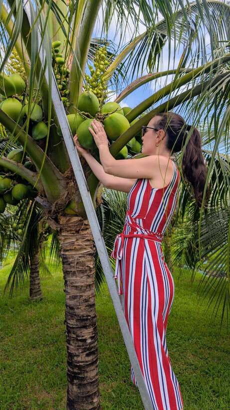 Ho Chi Minh: 1-Day Mekong Delta Tour-Floating Market & Islet - Son Islet and a community-run afternoon