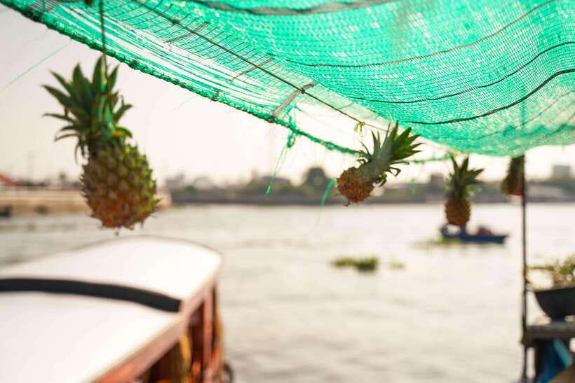 Ho Chi Minh: 3-Day Mekong Delta & Optional Exit to PhnomPenh - Tra Su Forest by rowing boat