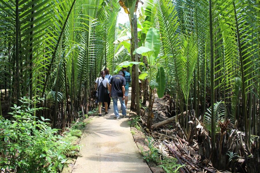 Ho Chi Minh City: Discover Mekong Delta & Coconut Village - Key points at a glance