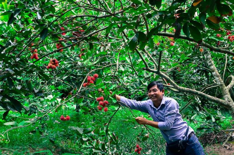 Ho Chi Minh City: Mekong Delta Tour with Sampan Journey - Ben Tre, coconut country