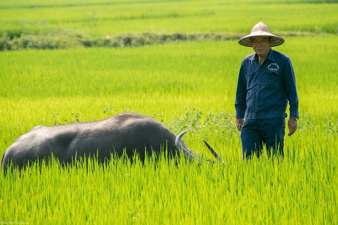 HOI AN Biking River Islands, Villages, Local Crafts PRIVATE TOUR - Returning by Ferry Instead of Retracing the Route