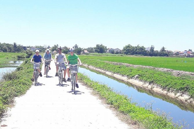 Hoi An Countryside Biking Tour(Vegetable village -basket boat - fishing village) - Rice fields, shrimp farms, and rural Hoi An