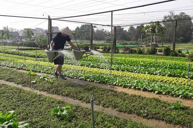 Hoi An Countryside Biking Tour(Vegetable village -basket boat - fishing village) - A local Vietnamese lunch to finish