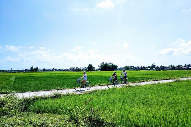 Hoi An Countryside Biking Tour(Vegetable village -basket boat - fishing village) - Who will enjoy this tour most?