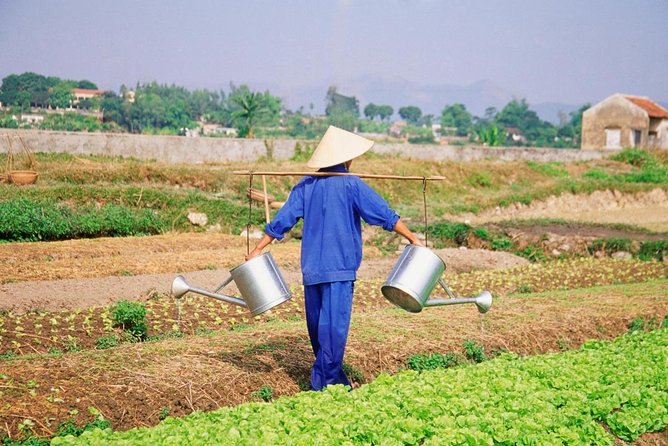 Hoi An countryside cycling tour - Key points to know before you book