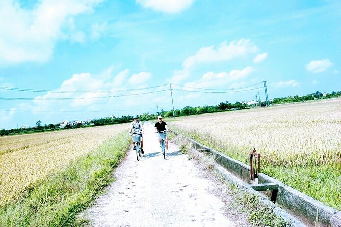 Hoi An countryside cycling tour - The Bay Mau coconut forest by basket boat