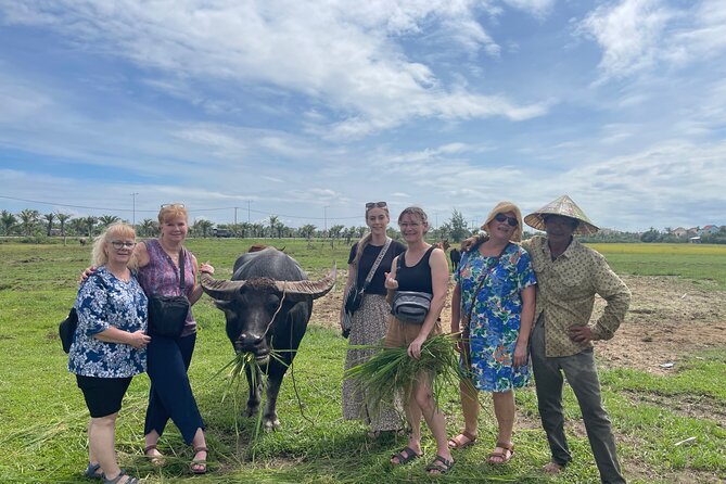Hoi An countryside cycling Tour,Basket Boat-organic farming-lunch - Meeting a water buffalo up close