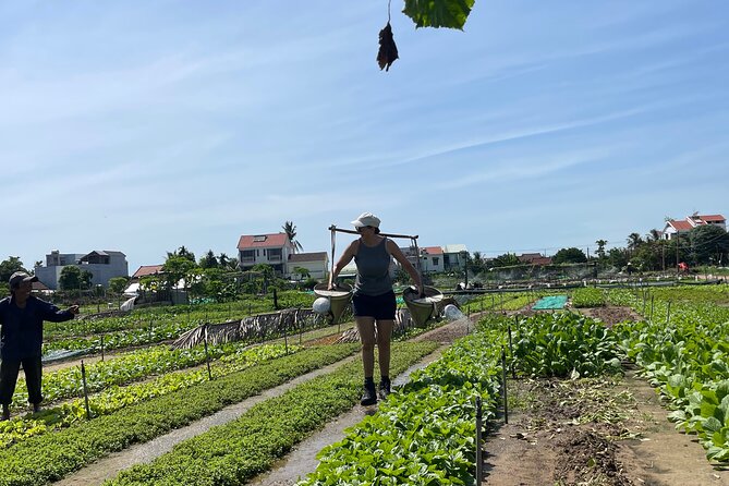 Hoi An countryside cycling Tour,Basket Boat-organic farming-lunch - A Vietnamese lunch with a full plate