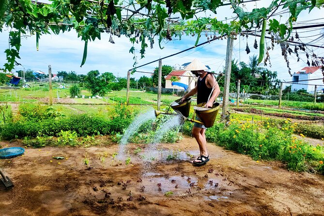 Hoi An countryside cycling tour - Starting with Hoi An’s farm country