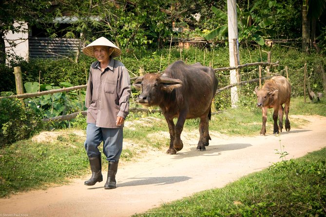 HOI AN Countryside - River Islands - Old Crafts - Local Culture - Cua Dai Bridge and the river views