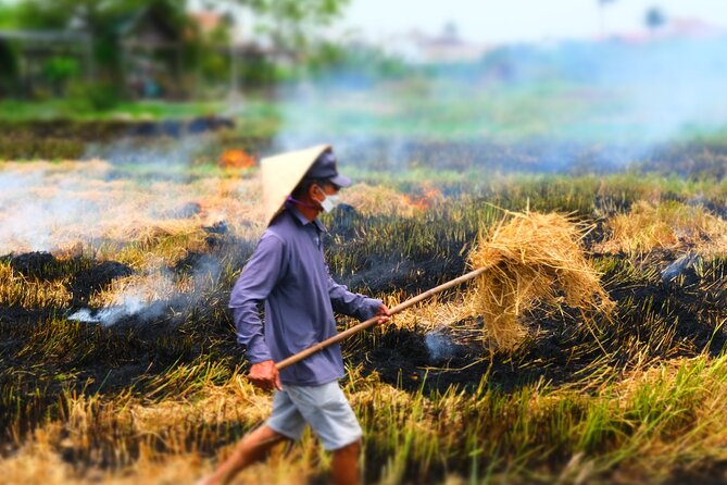 Hoi An Countryside Vespa Tour: Food, Culture & Daily Life - What the guides add to the day