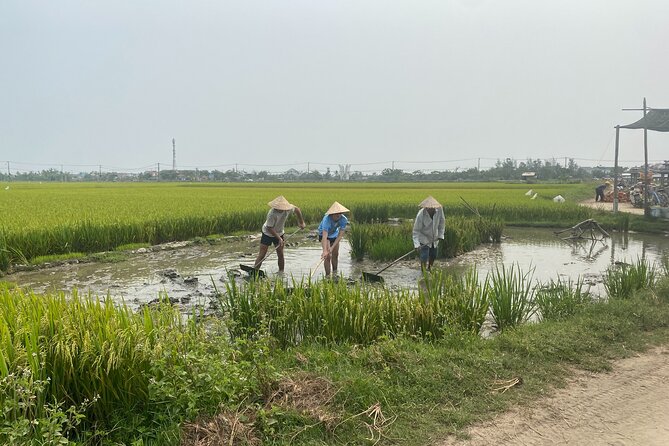 Hoi An Countryside Vespa Tour: Food, Culture & Daily Life - Is $93 a fair price?