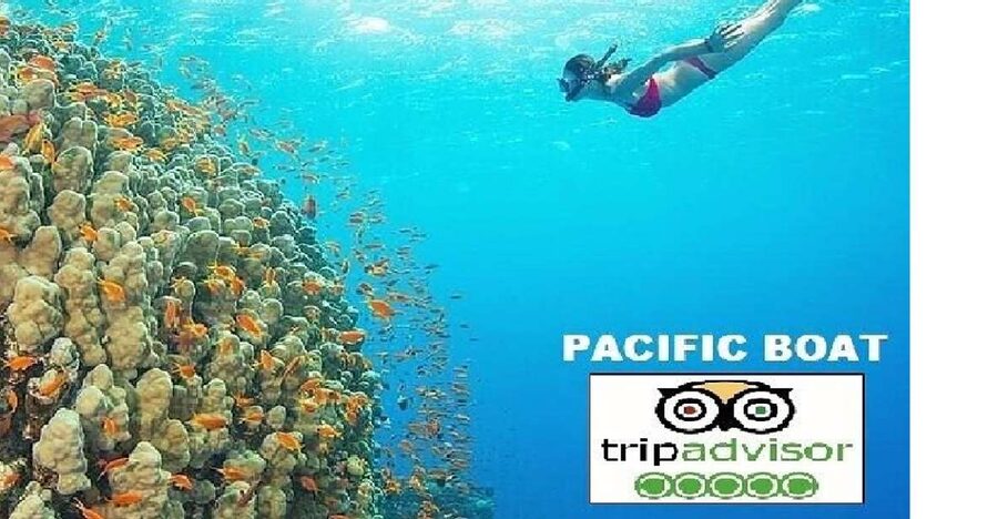Hoi An/Da Nang: Snorkelling & Island-Hopping Speedboat Tour - Two reefs, not a rushed island checklist