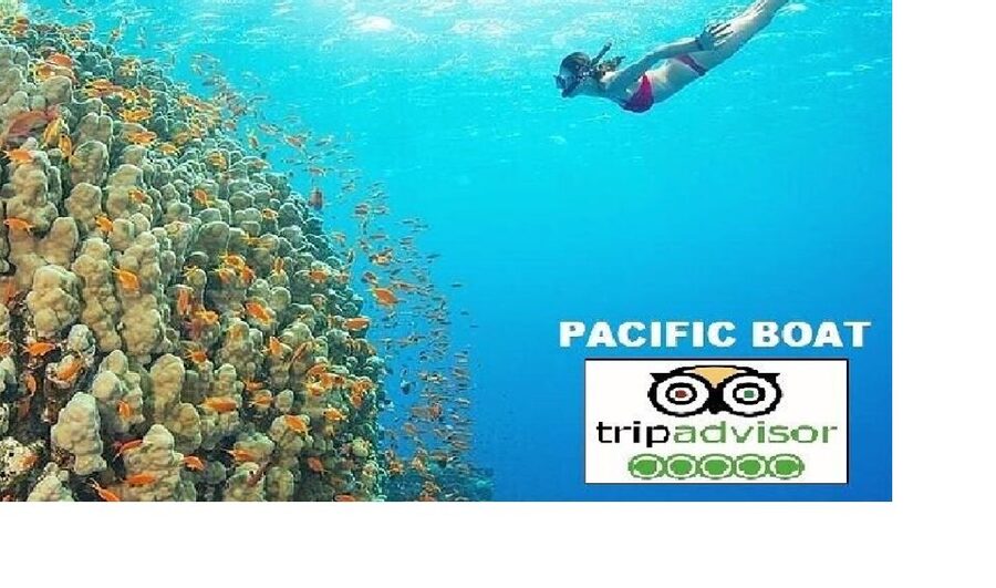Hoi An/Da Nang: Snorkelling & Island-Hopping Speedboat Tour - The morning ride from Hoi An or Da Nang