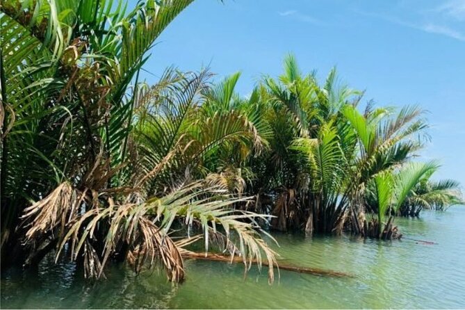 Hoi An Farming And Fishing Life - Why this Hoi An countryside tour works