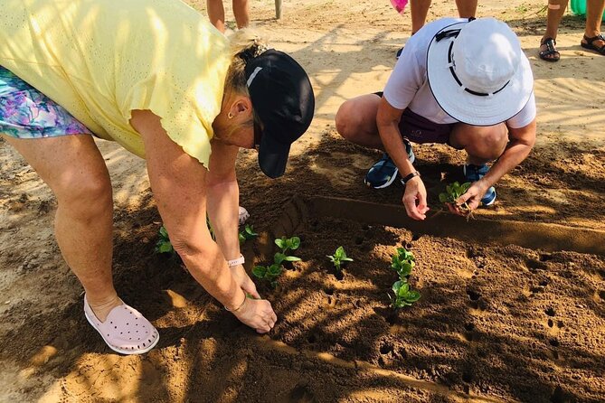 Hoi An Local Market and Vegetable Village Cooking Class - Why this Hoi An cooking class feels different